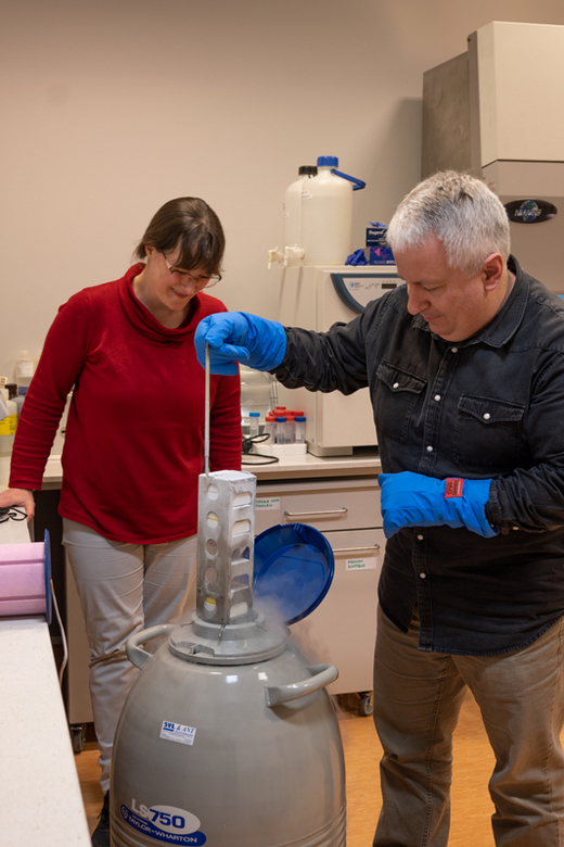The photo shows a woman and a man taking out a longitudinal element from a large container.