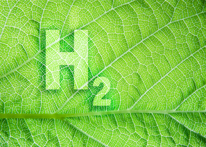 The picture shows a transparent symbol of hydrogen against the veins of a luscious green leaf.