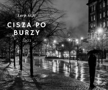 Czarno-białe zdjęcie. Przestrzeń miejska nocą, w deszczu. Pusta ulica, wzdłuż której, po obu stronach, rosną posadzone w szpalerze drzewa. Po prawej stronie ulicy - budynki, oraz zapalone latarnie. Ich światło odbija się w mokrej powierzchni ulicy. Po lewej stronie ulicy - szeroki chodnik, wybrukowany kostką. Na krawędzi chodnika, tuż przy ulicy stoi człowiek, trzyma rozłożony parasol.