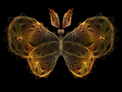 The picture shows a digital image of a yellow butterfly against a black background.