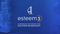 Logotyp organizacji "esteem3" na granatowym tle.